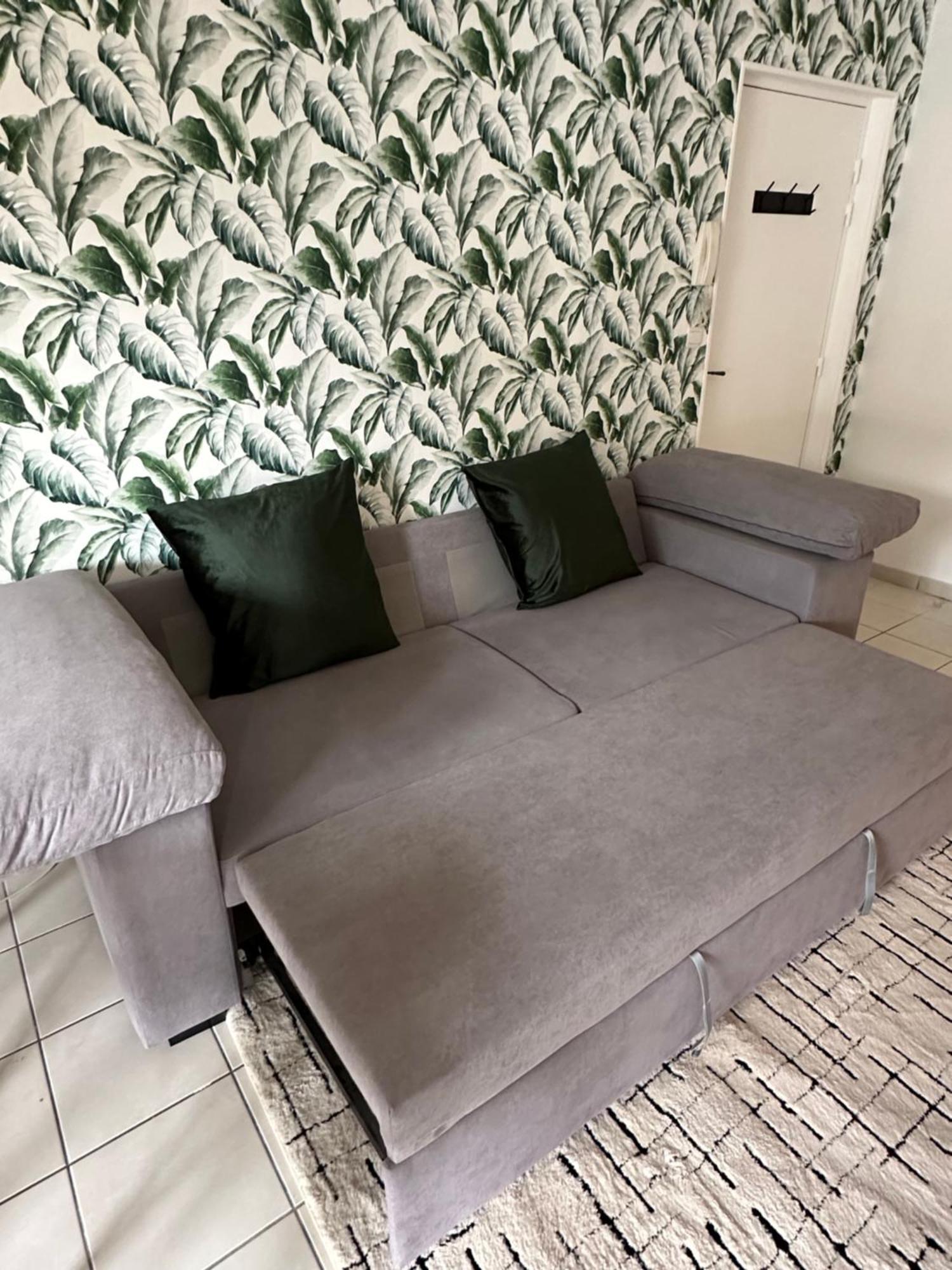 Appartement Entierement Renove روي المظهر الخارجي الصورة