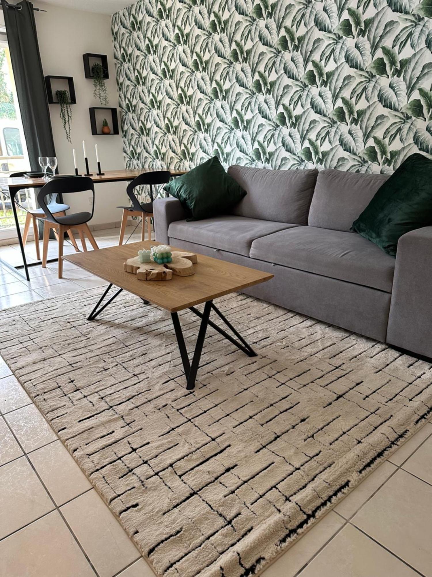 Appartement Entierement Renove روي المظهر الخارجي الصورة